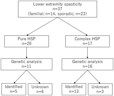 Genetic and clinical features of pediatric-onset hereditary spastic paraplegia: a single-center study in Japan